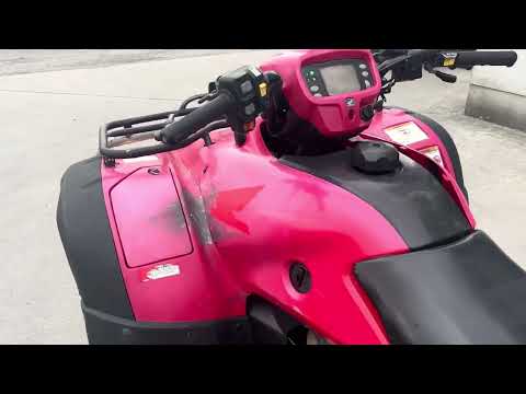 (VIDEO) Honda Foreman 500 - Image 2