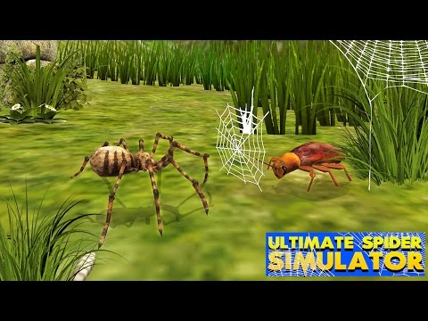 Ultimate Spider Simulator Video