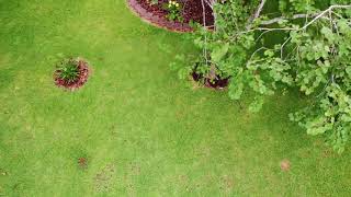 preview picture of video 'The Garden - Tanner Williams Alabama - Magnolia Media Air 4k - Aerial Videographer'