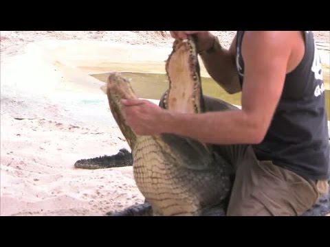 Top Draft Prospects Tour the Everglades