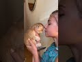 A Girl kissing and holding a Kitten - Cute Animals world A Girl kissing and holding a Kitten