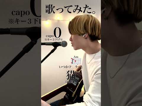 【声が低くても歌える】猫 / DISH//cover自分に合ったキーで気持ちよく歌おう🎤capo0※キー3下げ※#shorts #cover #弾き語り #猫 #歌ってみた