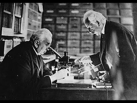 Les frères Lumière, l'œil, le pinceau et le cinématographe*