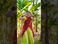 Mainaru Vetti Katti Trending Song Nani Mainaruvettikatti Dasara Shorts Ytshorts