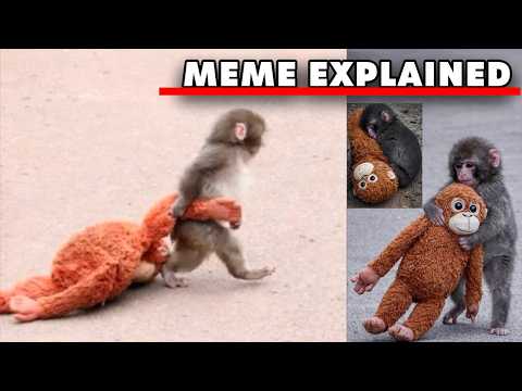 Stuffed Monkey Meme