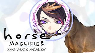 horse magnifier