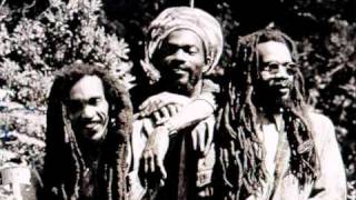 Israel Vibration - There is no end