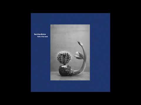 Doctrina Natura - A Walk Through The Sacred Mountain [951beat51]