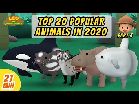 Top 20 Popular Animals in 2020 Minisode Compilation (Part 3/4) - Leo The Wildlife Ranger | Animation
