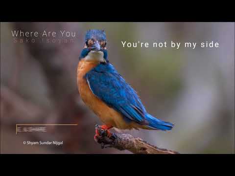 Where Are You (Original Mix)  - Sako Isoyan Ft. Victoria Ray with lyrics on screen