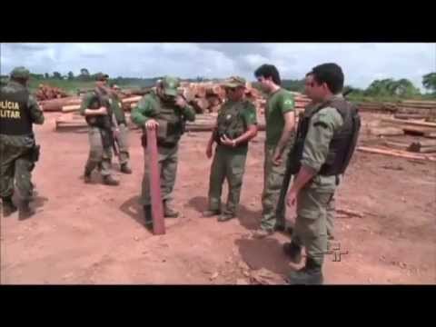 JC Debate sobre a Amazônia - 17/07/2014