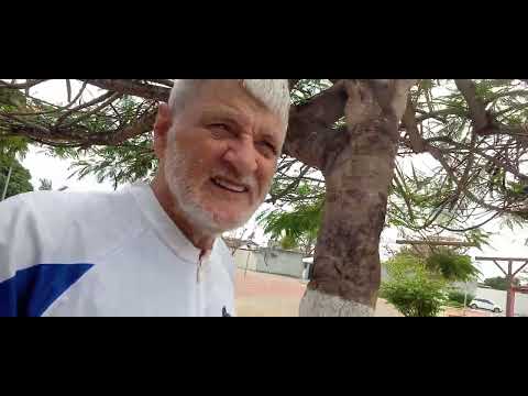 Viajante em chá do Pilar Alagoas 