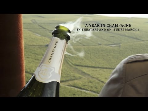 afbeelding Year in Champagne, A
