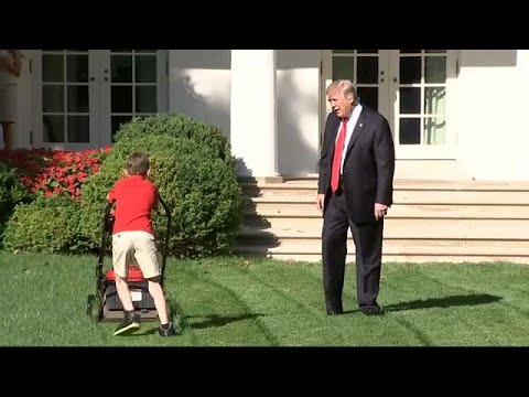 شاهد طفل يقص عشب حديقة البيت الأبيض.. وترامب يراقب ويداعب