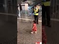 Toddler Ask Airport Security | If She Can Hug Her Aunt😘😍 In Adorable Video | VIRAL MEDIA