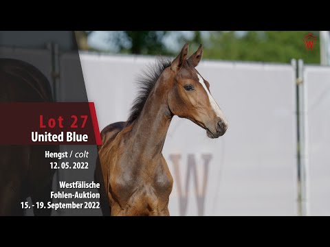 Online-Auktion Lot 27 United Blue Hengst v. United Way - Chacco-Blue