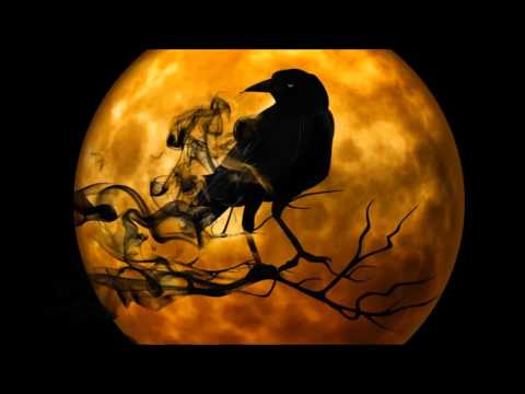 Wochenorakel für die Woche vom 26.Oktober bis 01. November 2015