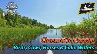 Virtual Kayaking | A Cinematic Paddle Through Nature: Birds, Cows, Horses & Calm Waters