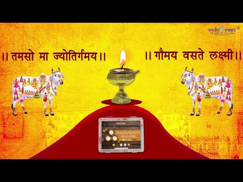 Panchgavya Desi Cow Dung Ghee Gobar Floating Deepak Diya video