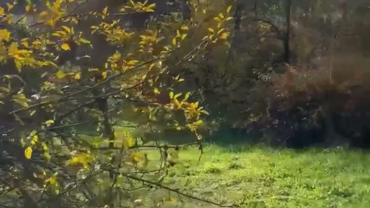 Eladó családi ház, Bánk 7 szoba 140 m² 138 M Ft