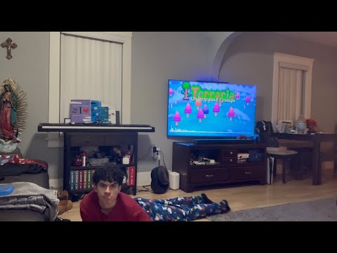 Dancing To The Full Terraria Soundtrack