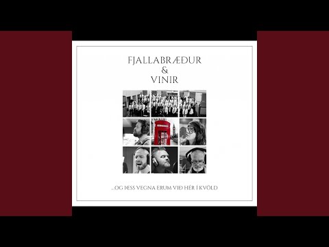 Hafið eða fjöllin