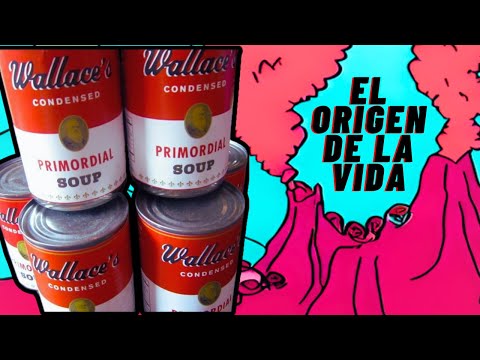 El origen de la vida | Teoría de las fuentes hidrotermales