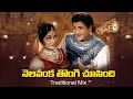 నెలవంక తొంగి చూసింది Remix Nelavanka Thongi Chusindi Traditional