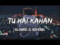 Chaal chal tu apni me tujhe pehchan lunga (Slowed + Reverb) Lyrics | Tu Hai Kahan |