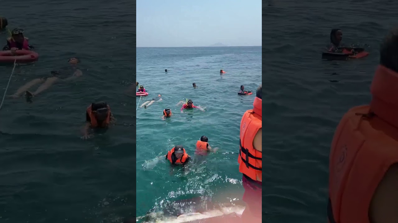 YouTube Short thumbnail