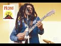 Bob marley - we and them ( Live  1980 HD"