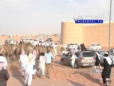 مسيرة منقية ابناء محمد راعي العورا في مزاين ام رقيبه 1436 -  قناة الاصايل - alasayel tv