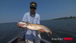 Балансир rapala snap rap 4см snr04