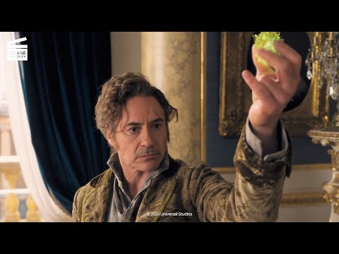 Dolittle: Saving the Queen HD CLIP