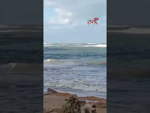 رياح عاصفة تضرب سواحل الإسكندرية.. وارتفاع الأمواج إلى 3.5 متر | صور وفيديو.. عاجل 