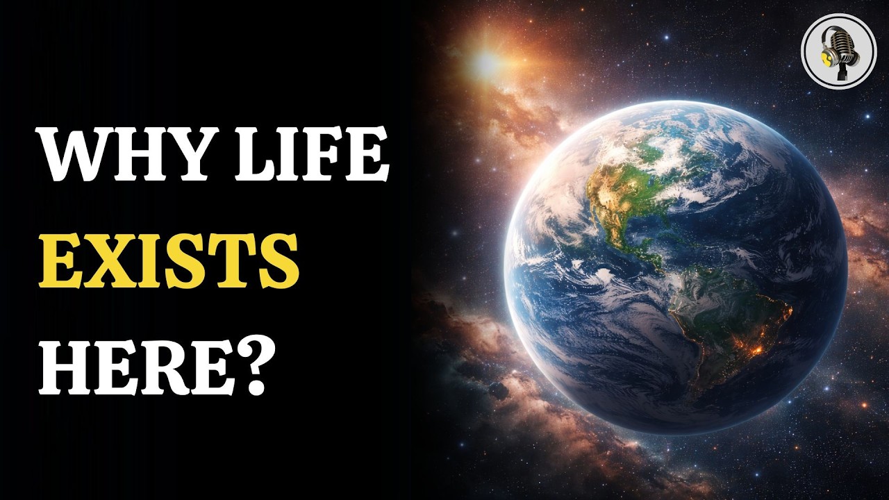 Chemical Goldilocks Zone: The Hidden Reason Earth Exists | WION Podcast
