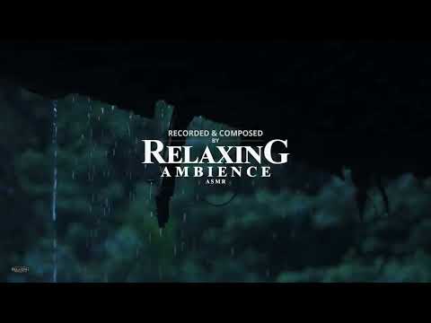 Hide From Rain   Thunder Under Roof   Sleep Sounds to Help Study, PTSD, Insomnia   Tinnitus