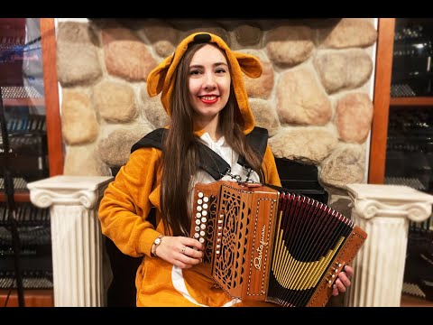 CASTTRILGCCW - Cherry Castagnari Trilly Diatonic Button Accordion GC LMM 21 8 $4499