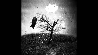 Richard Hawley "You Don't Miss Your Water (Till Your River Runs Dry)"