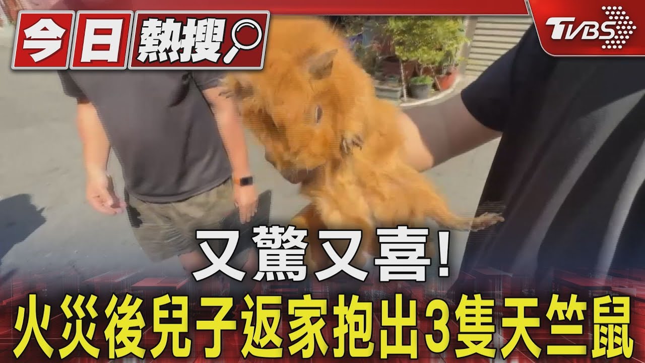 又驚又喜!火災後兒子返家抱出3隻天竺鼠