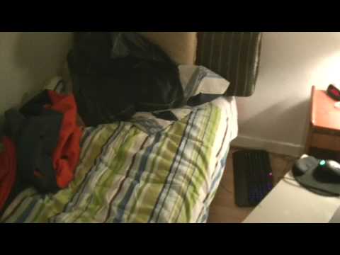 MongoTV_3736 - Mongo Games - American Truck Simulator - Part 376 - Wood Transport