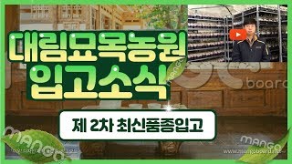 병꽃나무,애기말발도리가 대림묘목농원에 입고 되었습니다! /Daelim Nursery (Physocarpus …