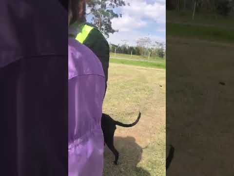 PROFESOR DE KICK BOXING LLEVADO PRESO POR ESTAR TOMANDO SOL EN YERBA BUENA TUCUMAN