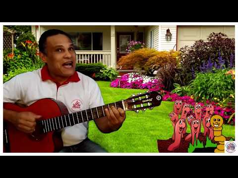 Minhoca - Música Infantil