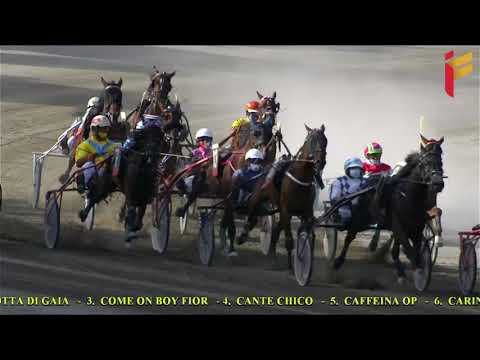 II Corsa del 4 Agosto 2021 - 3 Anni - Metri 1600