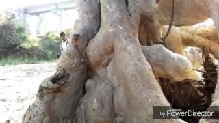 Download lagu Ummbakkum mp3