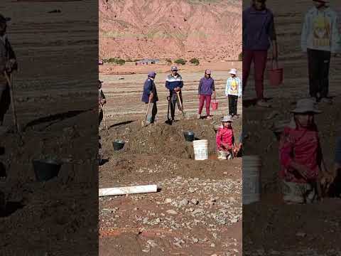 TRABAJO DE RIEGO EN POTOSI #bolivia #turismo #riego #potosí #agricultura #familiar