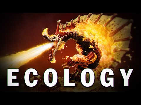 The Agnaktor | Monster Hunter Ecology