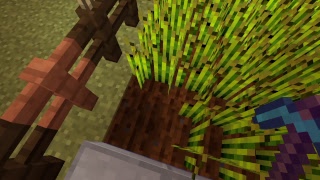 マイクラやでー