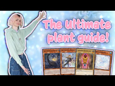 The ULTIMATE guide to plant ft Raika, Aroma, Rikka & Sunavalon